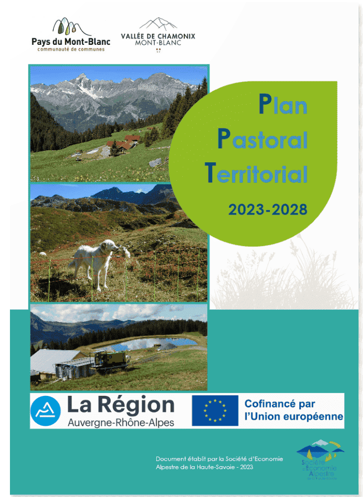 Plan Pastoral Territorial 2023-2028