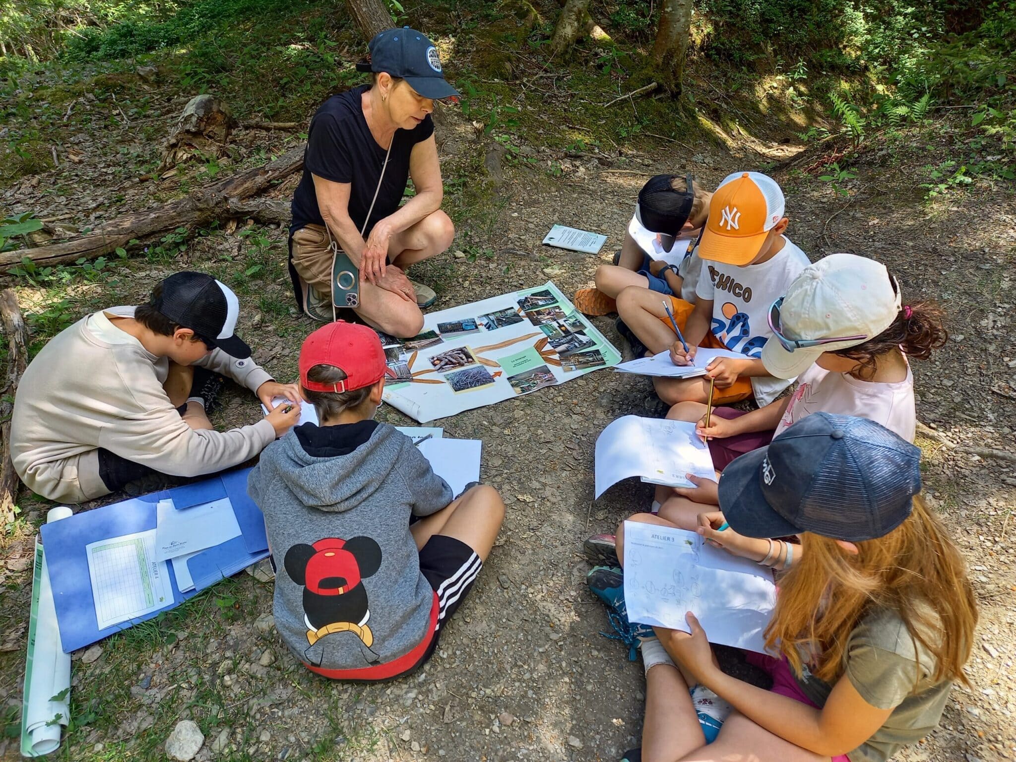 Animations collèges