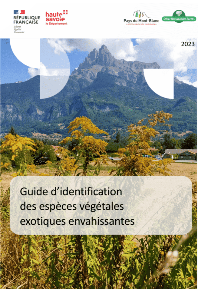 Plantes exotiques envahissantes : les reconnaître et les contrôler