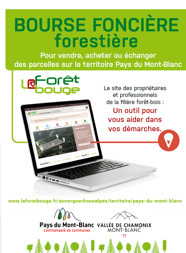 Propriétaires de parcelles forestières, on vous aide !