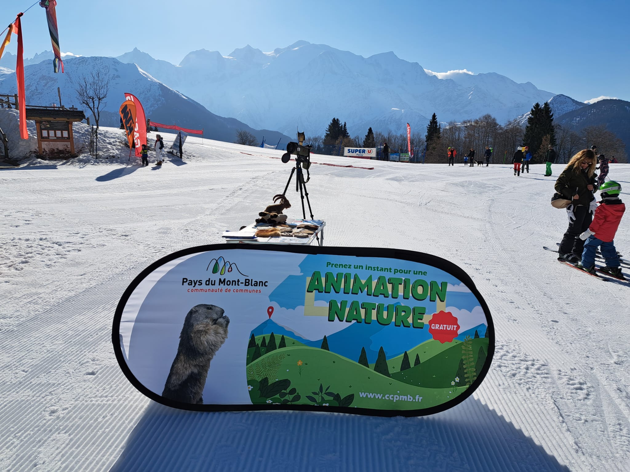 Animations nature